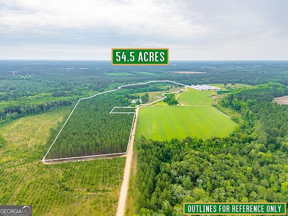 54.5 Acres of Recreational Land for Sale in Nicholls, Georgia