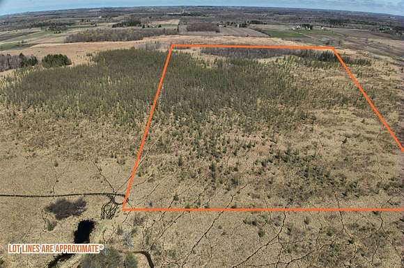 80 Acres of Recreational Land for Sale in Neillsville, Wisconsin
