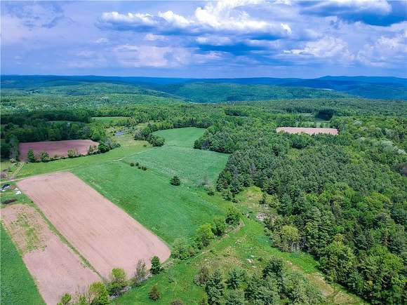 124 Acres of Land for Sale in Roxbury, New York