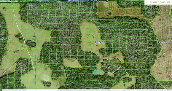 1.3 Acres of Land for Sale in Polk City, Florida