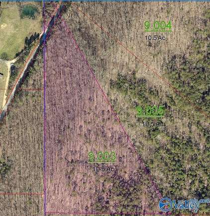 10.5 Acres of Land for Sale in Valley Head, Alabama