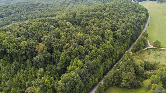 10.5 Acres of Land for Sale in Valley Head, Alabama