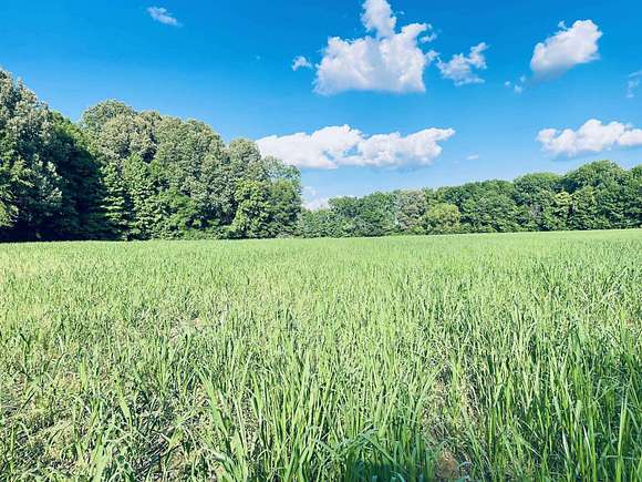 51 Acres of Recreational Land & Farm for Sale in Trenton, Tennessee