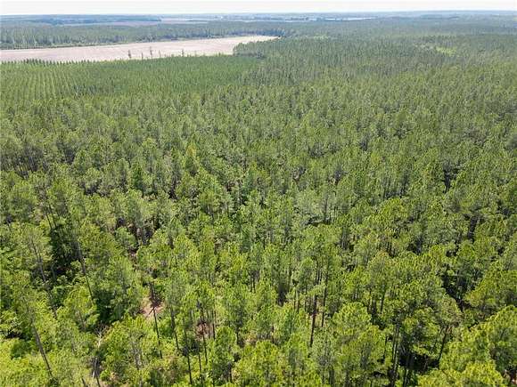 70 Acres of Land for Sale in Nicholls, Georgia