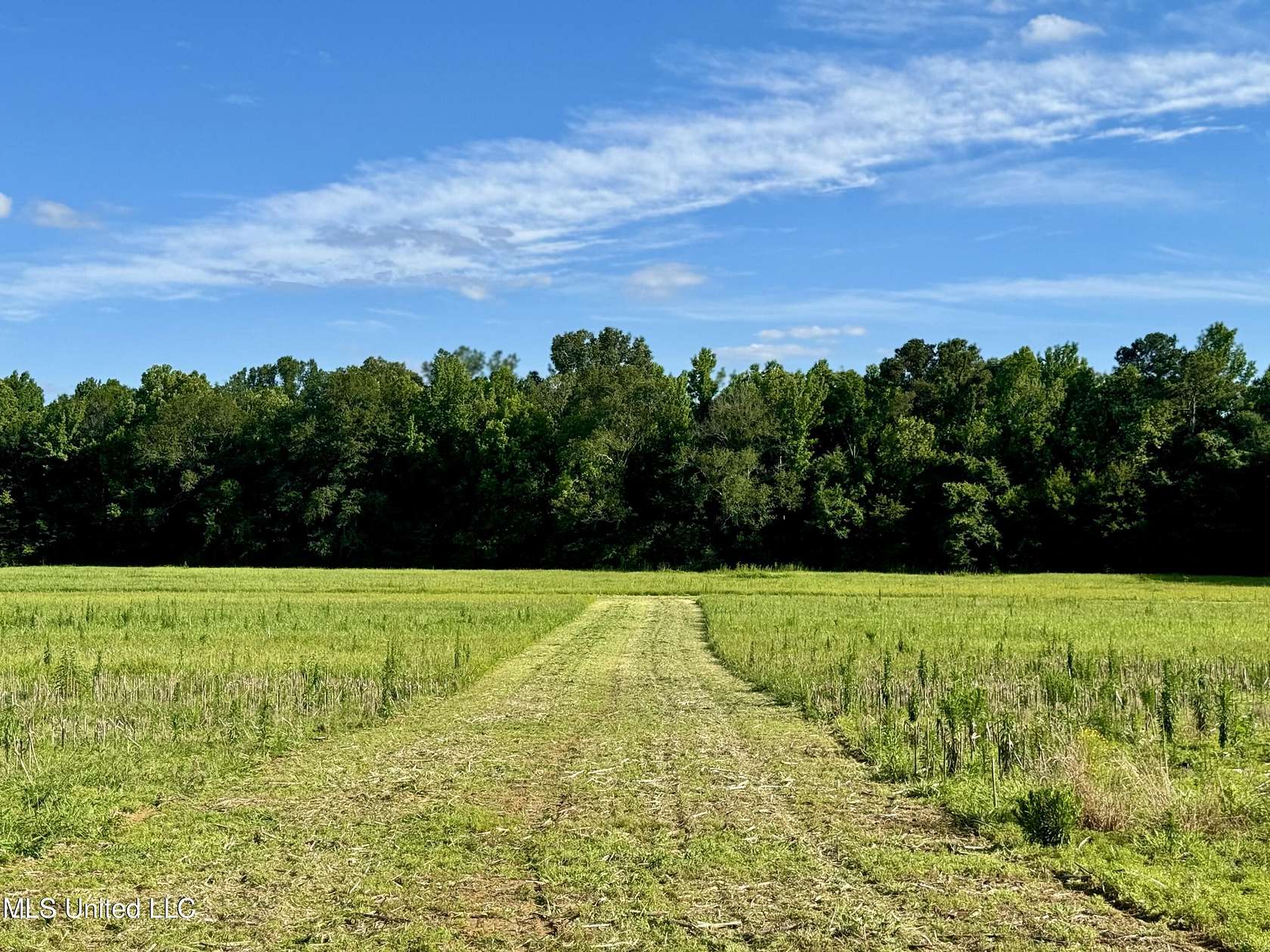 20 Acres of Land for Sale in Canton, Mississippi