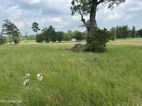 5.9 Acres of Residential Land for Sale in Perkinston, Mississippi