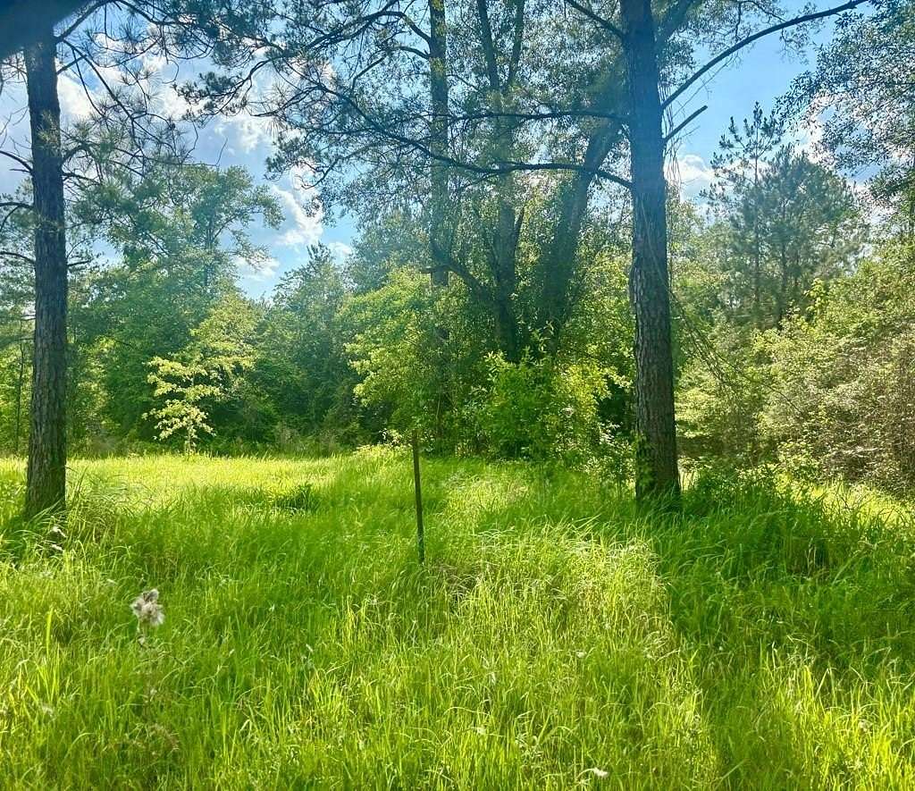 15.77 Acres of Land for Sale in Poplarville, Mississippi