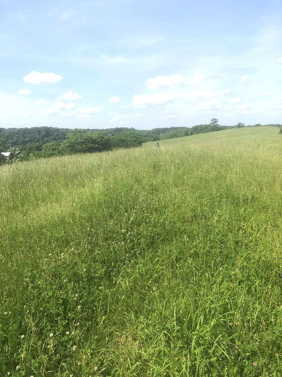 8.8 Acres of Land for Sale in Bloomfield, Kentucky