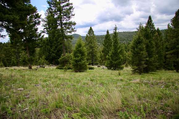 11.6 Acres of Agricultural Land for Sale in Helmville, Montana