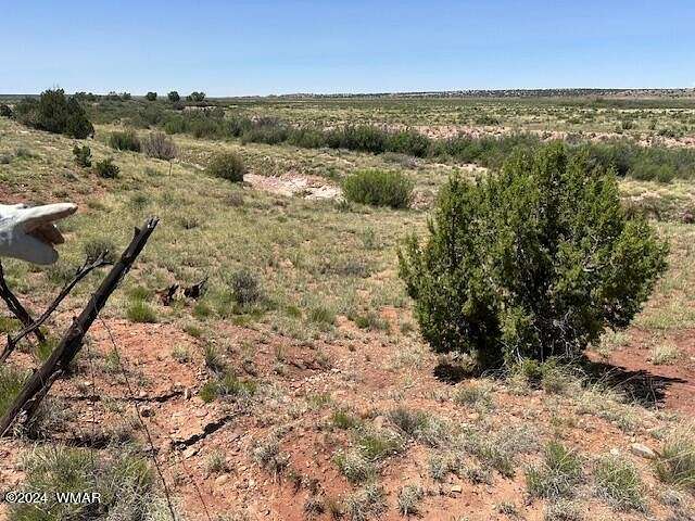 40.4 Acres of Agricultural Land for Sale in Concho, Arizona