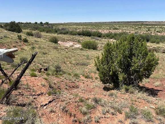 40.4 Acres of Agricultural Land for Sale in Concho, Arizona
