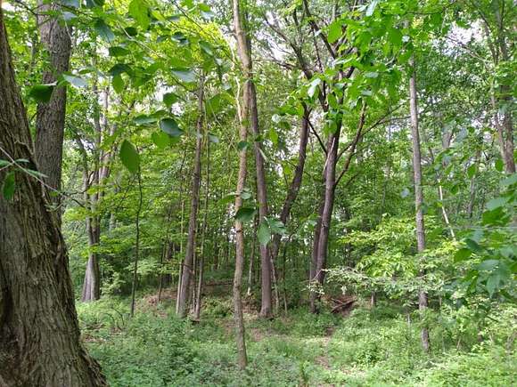 2.5 Acres of Land for Sale in Pinckney, Michigan