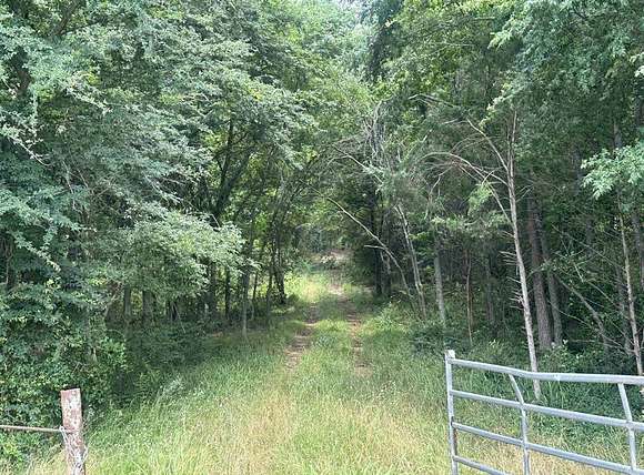 21.7 Acres of Land for Sale in Pittsburg, Texas