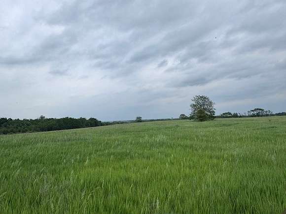 7 Acres of Agricultural Land for Sale in Hamilton, Missouri