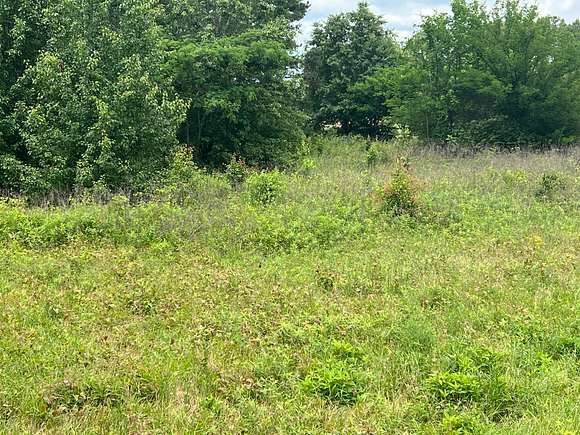 1.4 Acres of Residential Land for Sale in Gaylesville, Alabama