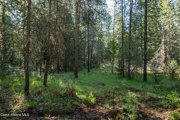 4.1 Acres of Residential Land for Sale in Priest River, Idaho