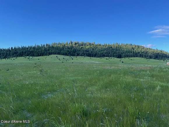 10 Acres of Land for Sale in Plummer, Idaho
