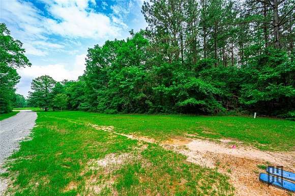 64.6 Acres of Recreational Land for Sale in Dubberly, Louisiana