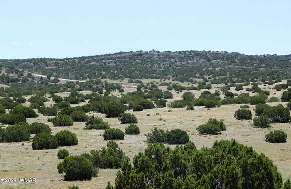 40 Acres of Agricultural Land for Sale in Concho, Arizona