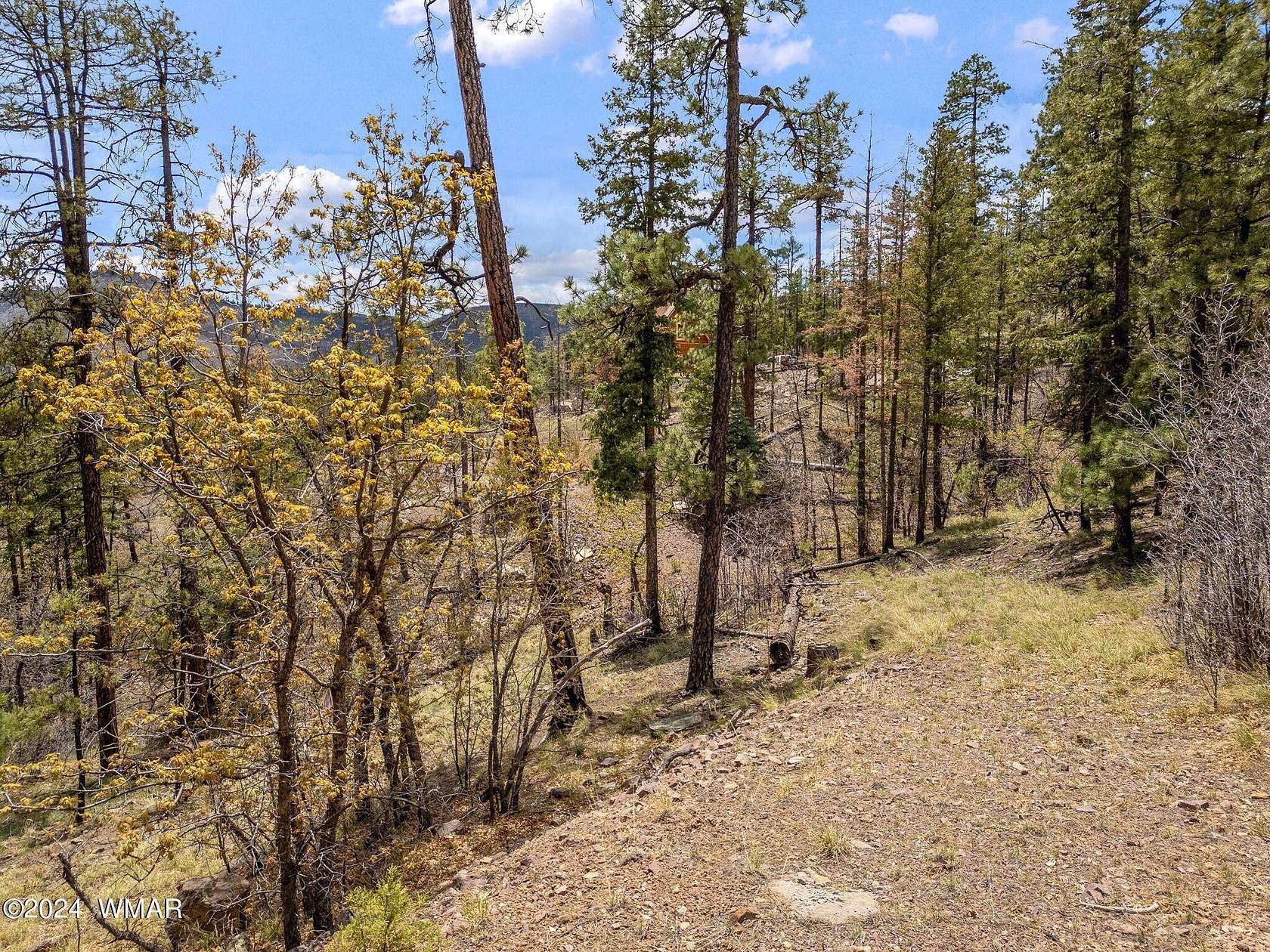 0.96 Acres of Residential Land for Sale in Alpine, Arizona