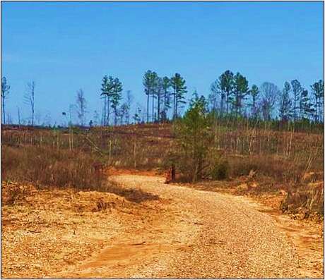 14 Acres of Recreational Land for Sale in Mantee, Mississippi