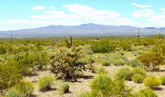 Residential Land for Sale in Dolan Springs, Arizona