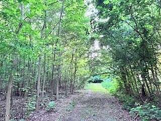 11 Acres of Land for Sale in Gibsonville, North Carolina