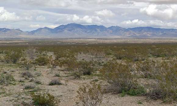 Residential Land for Sale in Dolan Springs, Arizona