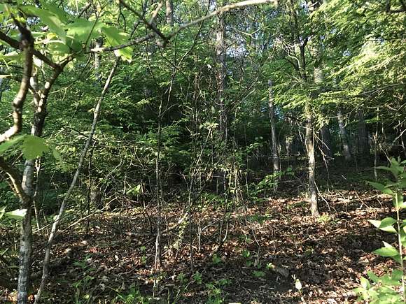 5.4 Acres of Residential Land for Sale in Reedsville, West Virginia