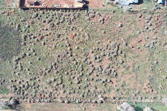 3.9 Acres of Residential Land for Sale in Fredonia, Arizona
