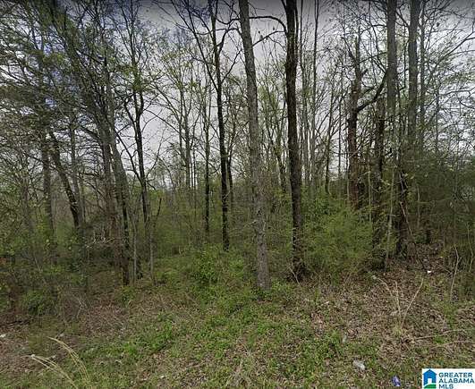0.34 Acres of Residential Land for Sale in Center Point, Alabama