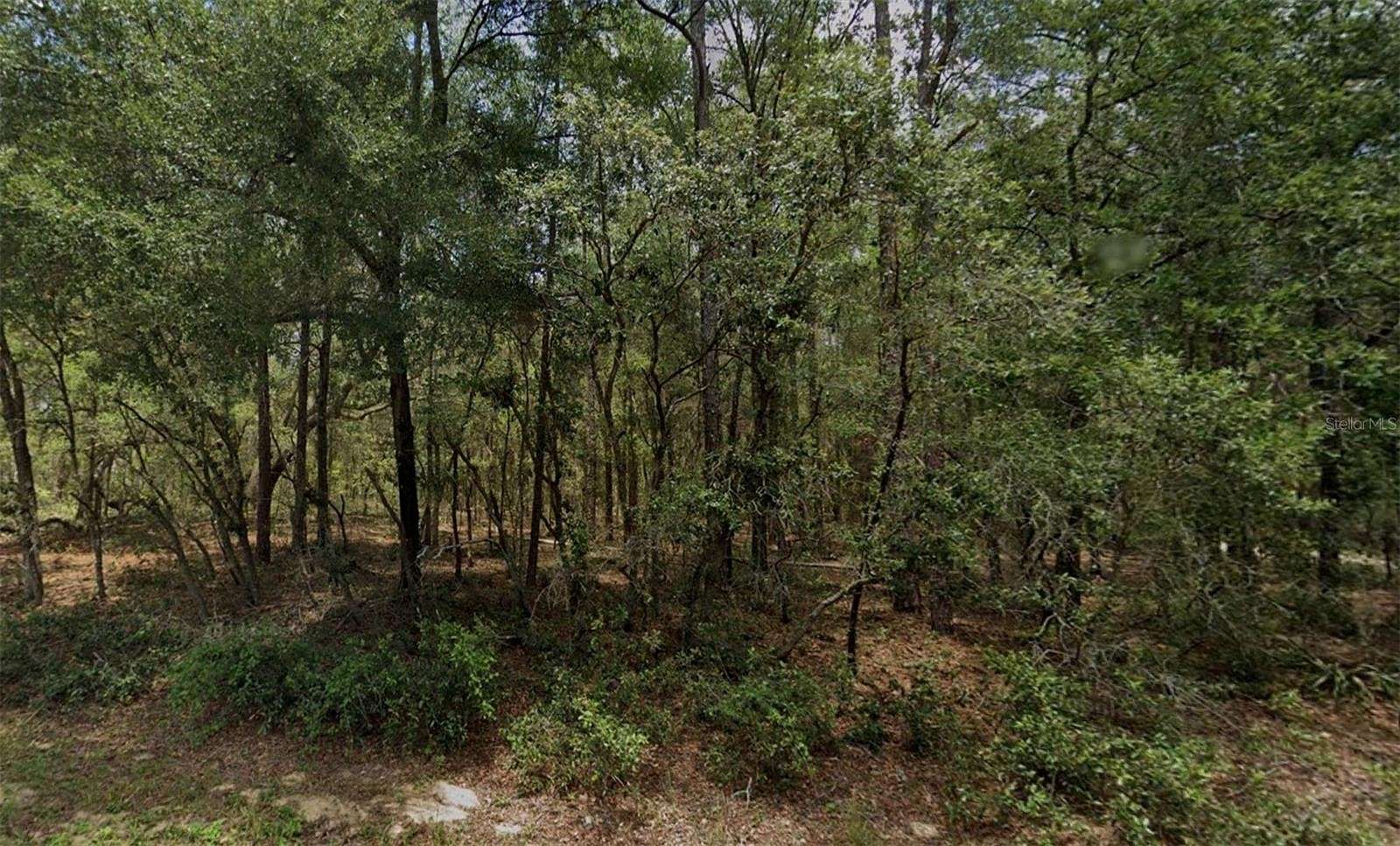 0.33 Acres of Residential Land for Sale in Citrus Springs, Florida