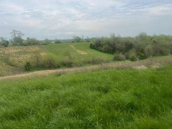 48.3 Acres of Agricultural Land for Sale in Cynthiana, Kentucky