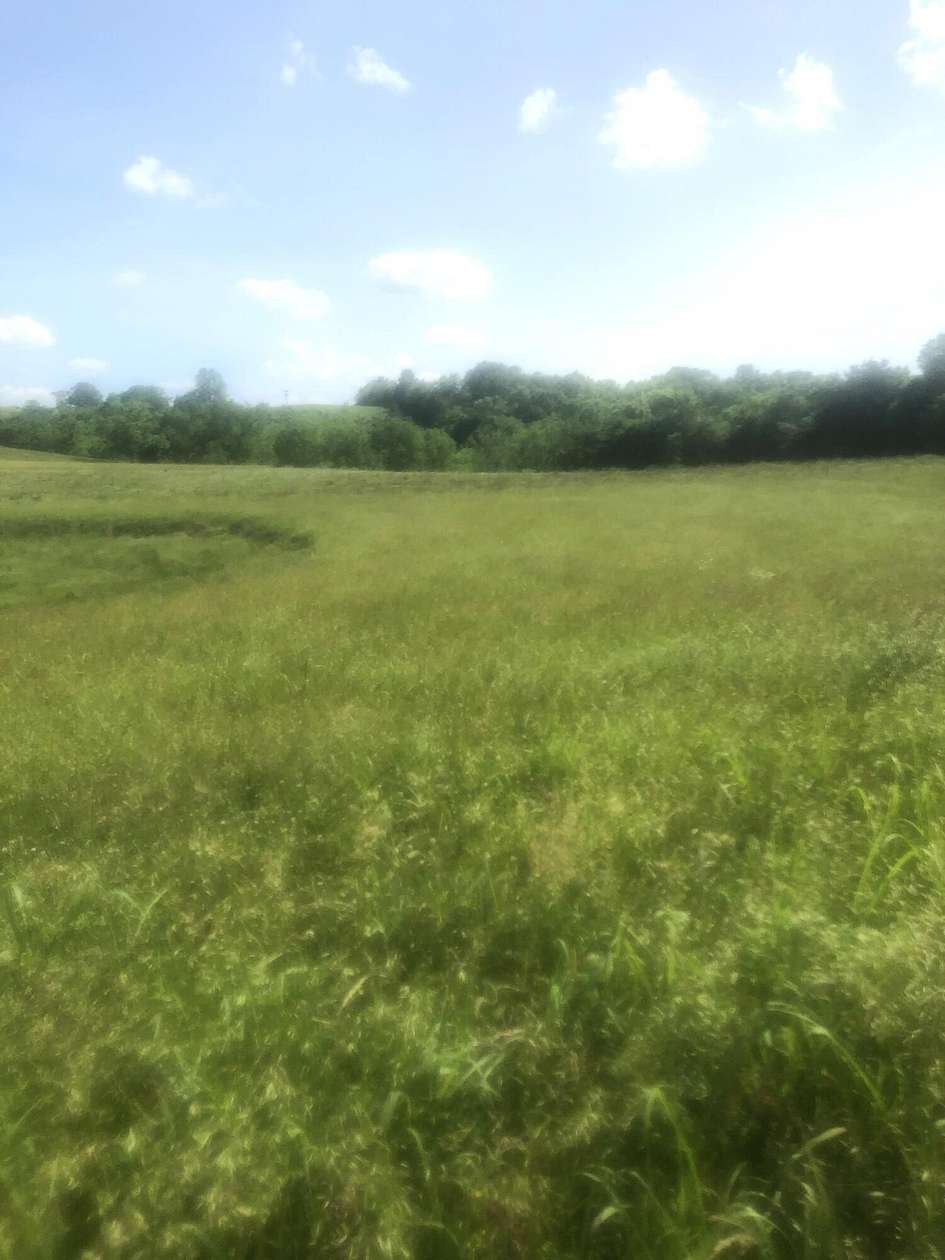 11.4 Acres of Land for Sale in Bloomfield, Kentucky