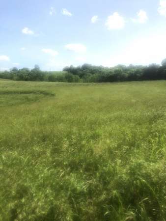 11.4 Acres of Land for Sale in Bloomfield, Kentucky