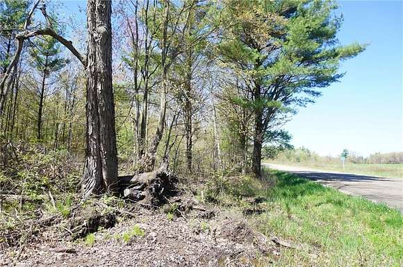 54.9 Acres of Recreational Land for Sale in Neillsville, Wisconsin