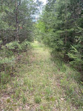 30 Acres of Recreational Land for Sale in Pacolet, South Carolina