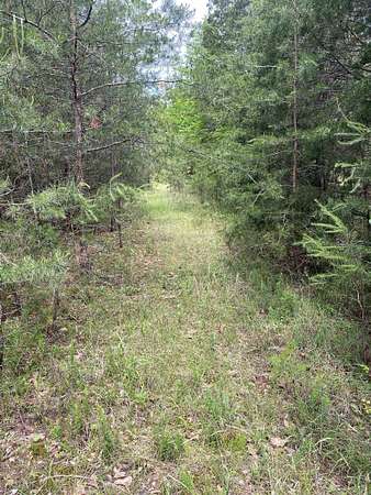 30 Acres of Recreational Land for Sale in Pacolet, South Carolina