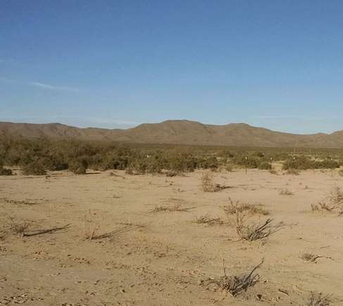 60 Acres of Recreational Land for Sale in Sierra Blanca, Texas