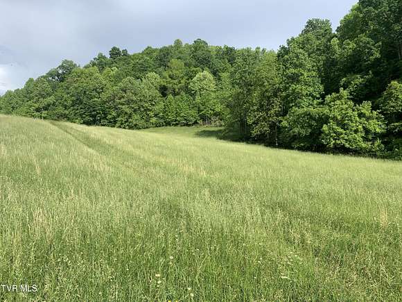 82 Acres of Recreational Land & Farm for Sale in Gate City, Virginia