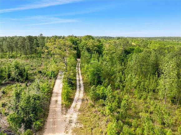 160 Acres of Recreational Land for Sale in Wilmer, Alabama