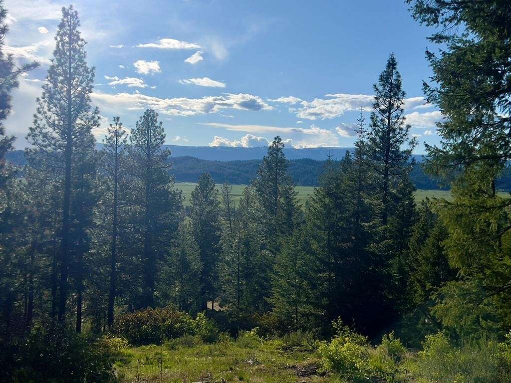 4.1 Acres of Residential Land for Sale in Cascade, Idaho