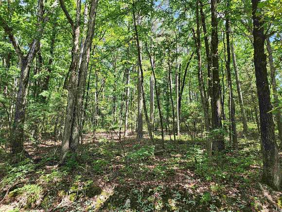 0.25 Acres of Residential Land for Sale in Hot Springs Village, Arkansas