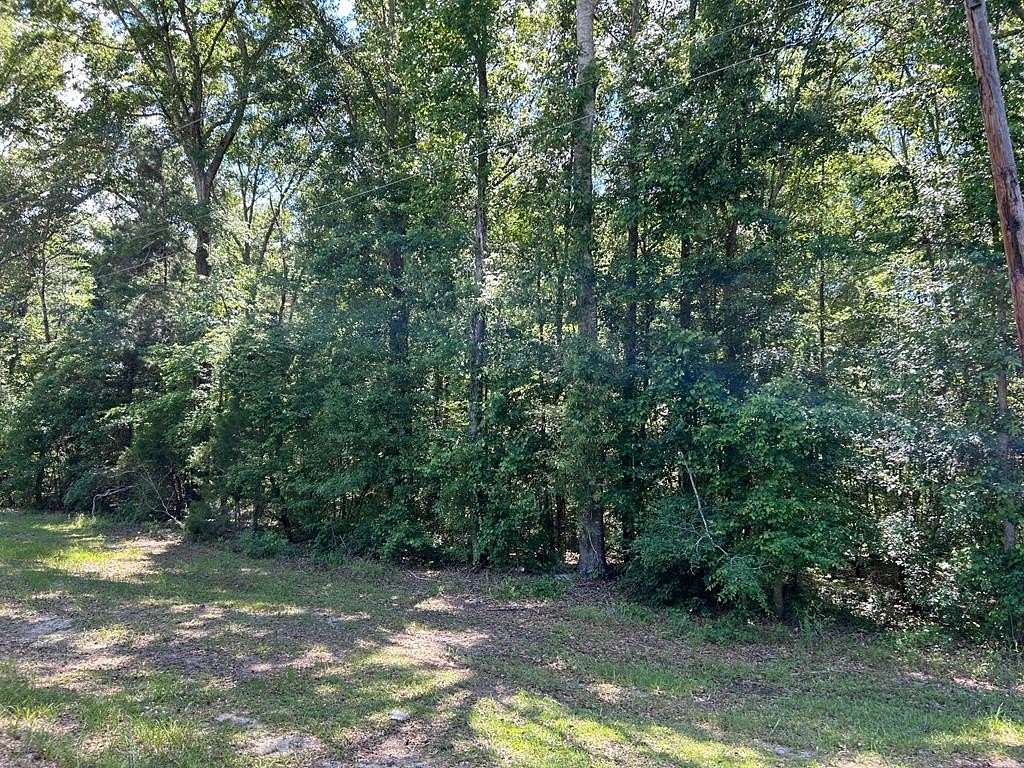 4 Acres of Land for Sale in Abbeville, Georgia