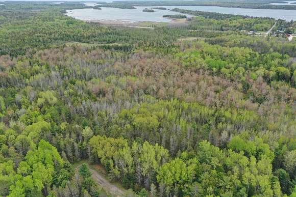 40 Acres of Recreational Land for Sale in Hessel, Michigan