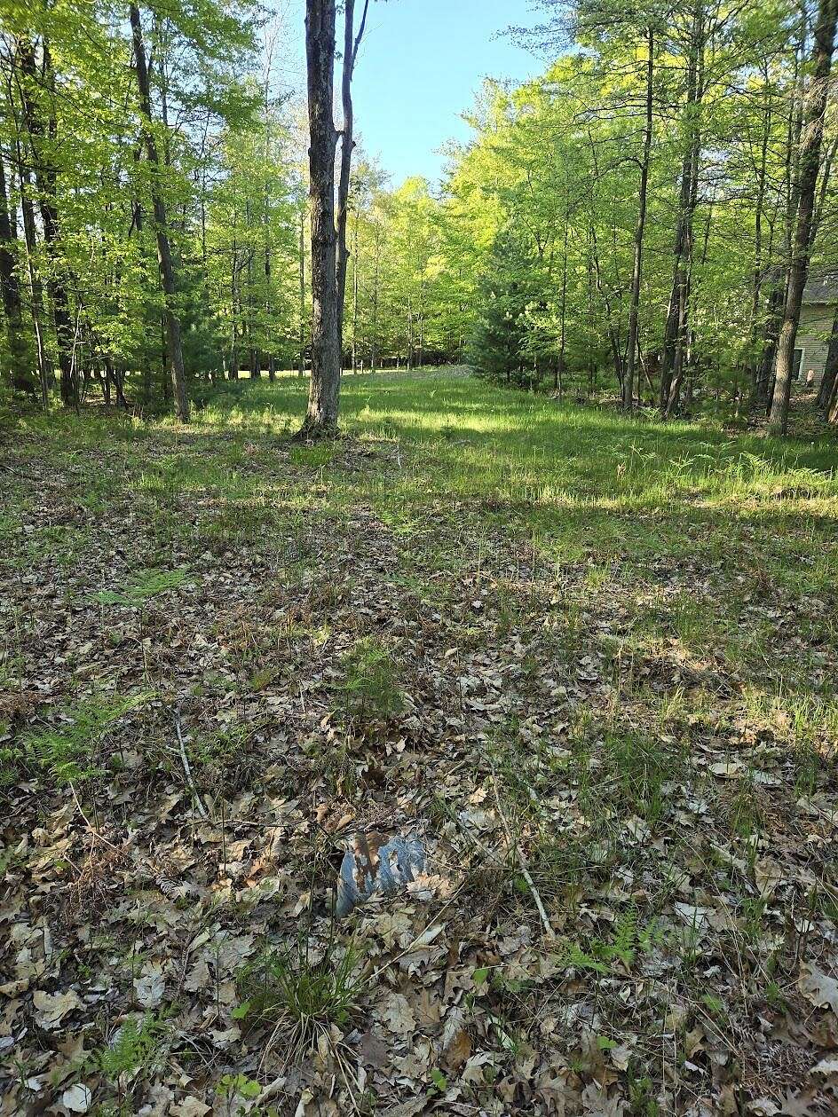 0.14 Acres of Land for Sale in Mears, Michigan