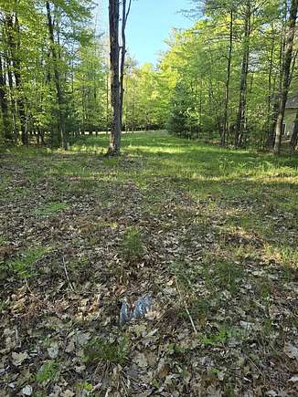 0.14 Acres of Residential Land for Sale in Mears, Michigan