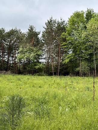 1.2 Acres of Residential Land for Sale in Big Rapids, Michigan