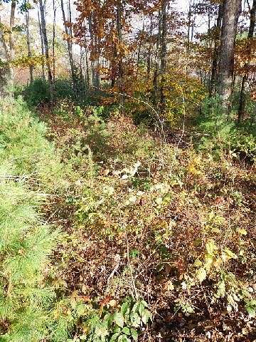 3 Acres of Land for Sale in Woolwich, Maine