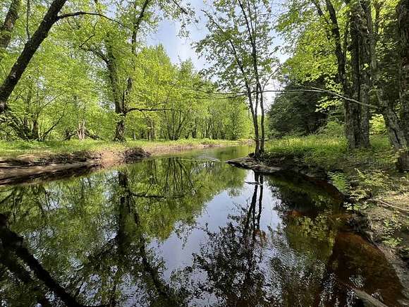 36.6 Acres of Recreational Land for Sale in Diana Town, New York